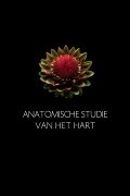 Anatomische Studie van het Hart