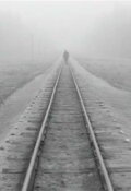 A Trip Across Misty Meadows