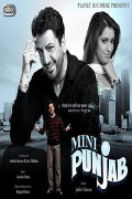 Mini Punjab