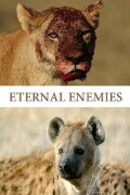 Eternal Enemies: Lions and Hyenas
