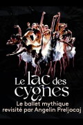 Le lac des cygnes au théâtre national de Chaillot