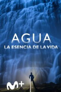 Water; Life's essence