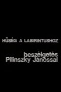 Hűség a labirintushoz – Beszélgetés Pilinszky Jánossal