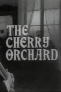 The Cherry Orchard