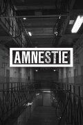 Amnesty