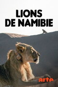 Vanishing Kings: Desert Lions of the Namib