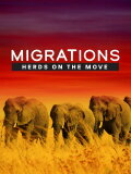 Migrations: Herds on the Move