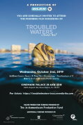 Troubled Waters: A Turtle's Tale