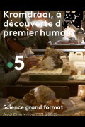 Kromdraai, à la découverte du premier humain