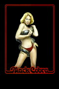 Black Cobra