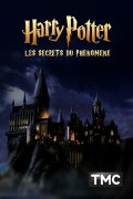 Harry Potter : les secrets du phénomène