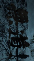 Deep Roots