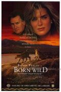 Born Wild