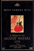 A Tribute to Muddy Waters - Live