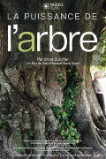 La Puissance de l’arbre avec Ernst Zürcher