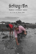 Bamboo without Water