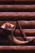 The Seventh Master of the House