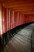 Soft Pong Inari
