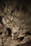 Ken Jacobs / Ghosts Of The Holy Ghost Spermic Brotherhood @ The Nervous Magic Lantern Festival