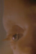 Secret