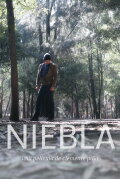 Niebla