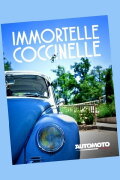 Immortelle Coccinelle