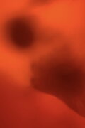 Love is Tinged with Red