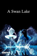 A Swan Lake
