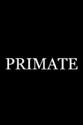 Primate