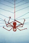 The Spider