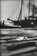 Bird's-Eye View of Dock Front, Galveston