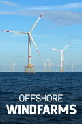 Windparks im Meer - Chance oder Risiko für die Natur?