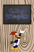 Calling Dr. Woodpecker