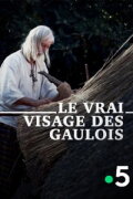 The True Face of the Gauls