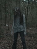 Dorset
