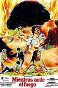 While the Fire Lasts