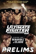 The Ultimate Fighter 24 Finale