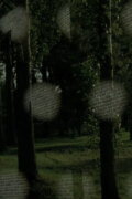 Spring Masks