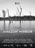 Amazon Mirror