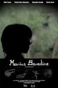 Marius Borodine