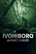 Ivohiboro, The Lost Forest