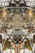Rupture