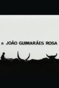 A João Guimarães Rosa