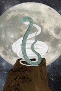 Two Snakes