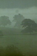 Fog Line