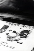 Doggy