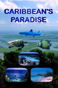 Caribbean's Paradise