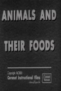 Animals and Their Foods