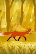 Small Forest Stories