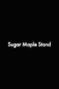 Sugar Maple Stand